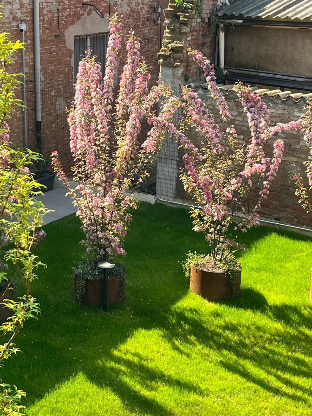 Cremona Inn Aparthotel Eksteriør bilde